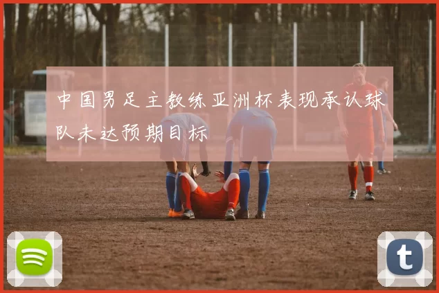 中国男足主教练亚洲杯表现承认球队未达预期目标